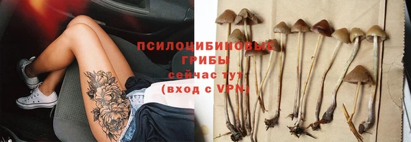 a pvp Алзамай