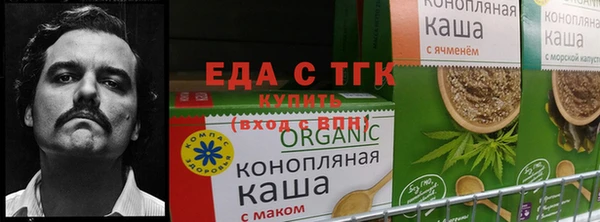 a pvp Алзамай